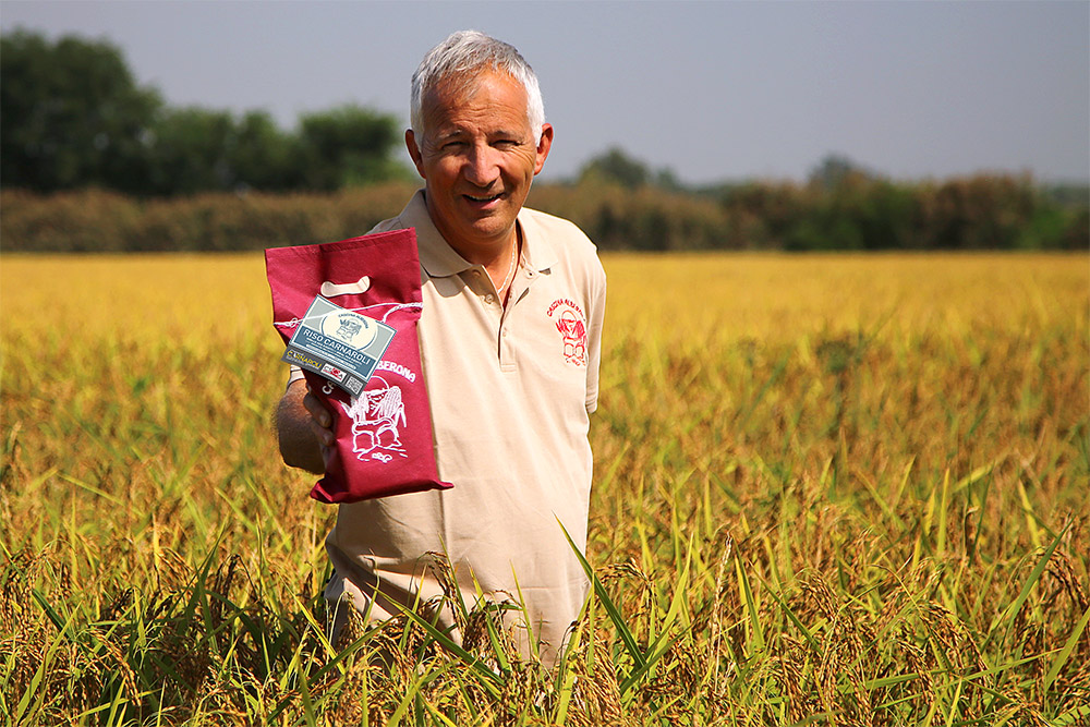 Luigi Ferraris Luigi Ferraris